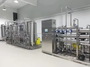 RO EDI Purified Water Generation System with Pump Pressure Vessel PLC Control and Motor