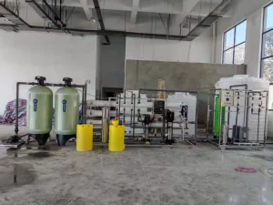 RO EDI Ultra Pure Water System Reverse Osmosis Water Treatment Plant Industrial Deionized Water Equipment 3T H 380V 220V