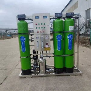 RO Seawater Desalination Water Filtration Equipment High Durability with Energy Efficient High Pressure Pump