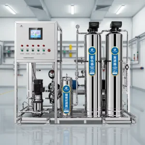 RO Water Treatment Machinery 0.5 T/H Desalination Water Purifier with Pump, PLC, Pressure, Water Filter System and Ozone