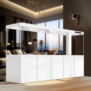 Rectangle Goldfish Aquarium with Water Pumps, Bottom Filter, and Ultra Clear Glass
