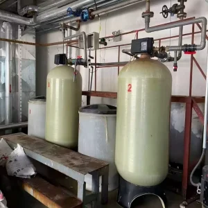 Regenerative Resin Water Treatment Plant Water Softener for Hard Water Applications