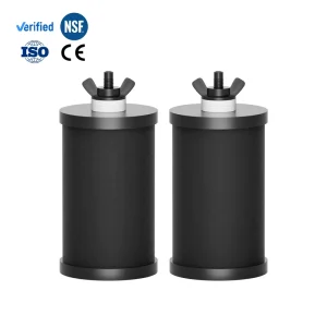 Replacement Activated Carbon Block Filter Cartridge for RV, Household, and Outdoor Gravity Systems, 2-Pack, 5,000 Gallon Capacity