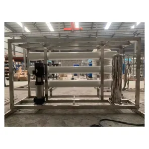 Reverse Osmosis Water Purification System for Salty Water with Pump and PLC 1 Year Warranty 250L-10000L Capacity