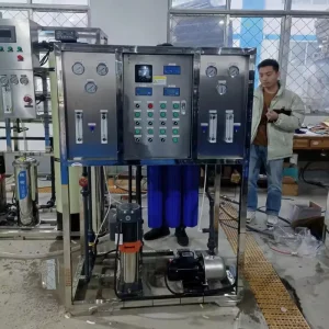 Reverse Osmosis Water Purifier System with EDI Pump PLC Gearbox Pressure Vessel Carbon Sand and Membrane Filter