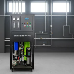 Reverse Osmosis Water System with Pump & PLC 250L/Hour for Factory and Commercial Projects