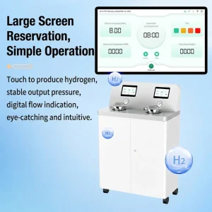 SPE PEM Commercial Molecular Hydrogen Water Generator High-Concentration Machine