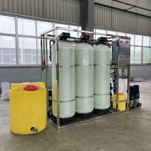 Sanitary 1000LPH Food-Grade Reverse Osmosis Equipment