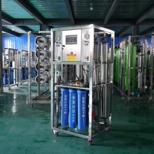 Small Factory Drinking Water Treatment Equipment Reverse Osmosis Pump RO Filter 250L/Hour Fully Automated Mineral Water