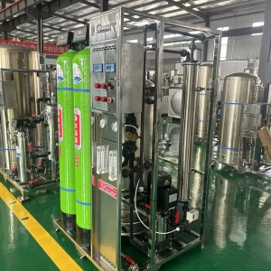 Small Skid-Mounted RO Water Purification System with Stainless Steel Tank Pump Pressure Vessel and PLC Control