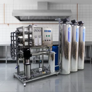 Stainless Steel 2000L/H Reverse Osmosis RO Water Filter Treatment Machine for Well Water