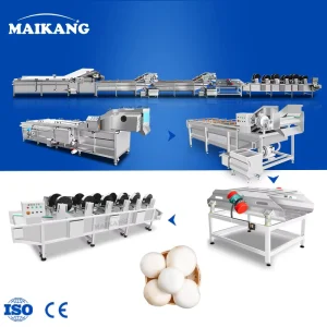 Stainless Steel Cleaning and Blanching Line with Fast Cooling for Mushroom Processing