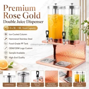 Stainless Steel Fruit Juice Dispenser Machine with Double Tanks for Hotel Restaurant Party
