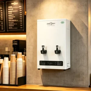 Stainless Steel Wall-Mounted Hot Water Boiler and Drinking Water Dispenser for Household and Commercial Use