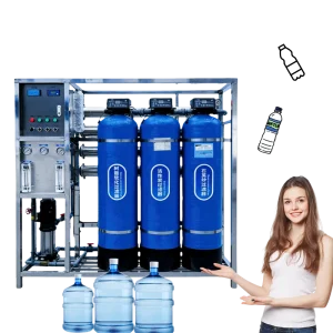 Underground Well Water Softening System 1000L/H Stainless Steel Reverse Osmosis Water Purification System with Pump and PLC