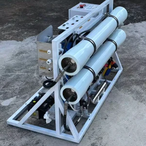 Water Filter Salt Removal 6500 Liters Per Day Reverse Osmosis Salt Water Treatment Desalination System for Drinking Water