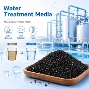 Water Treatment Activated Carbon Filter Media for Drinking Water Safety Chlorine Taste Removal High Efficiency Granules Supply