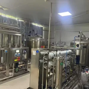 Water Treatment Machinery RO Plant Reverse Osmosis Water Filter Purifying System +EDI Ultra pure Water