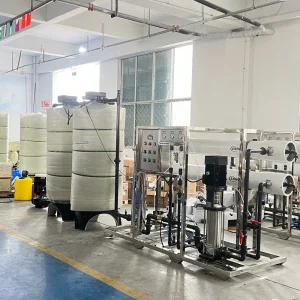 Whale 5T H Single Stage Reverse Osmosis Water Treatment Equipment Large scale Biological Medical 220V Pump PLC for Water Storage