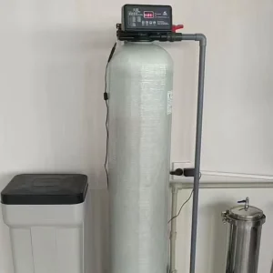 Whole House Water Softener System with Pump and Motor, 3000 L/hour, for Household Water Treatment